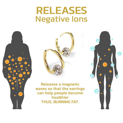 hosefoulse™ Lymphvity MagneTherapy Germanium Earrings